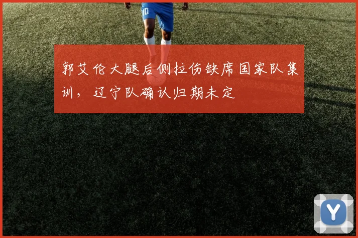 郭艾伦大腿后侧拉伤缺席国家队集训,辽宁队确认归期未定